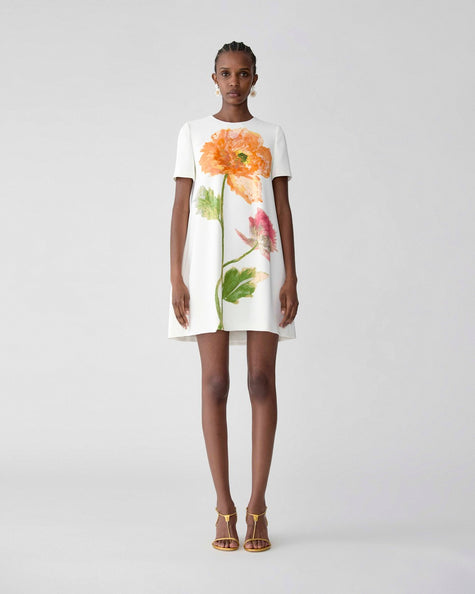 POPPY PRINT MINI DRESS