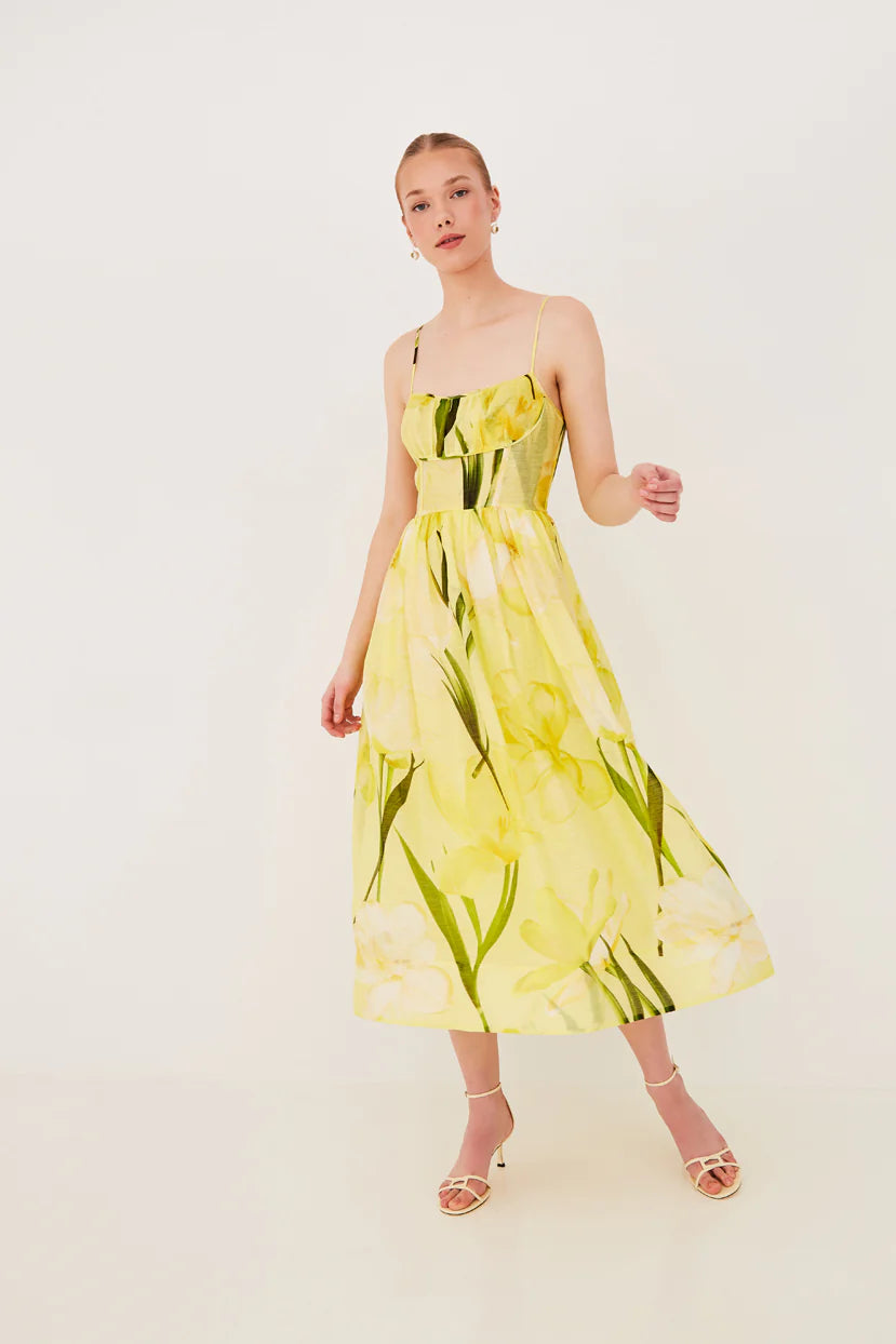 ALBA MIDI DRESS IN LILLIAN LEMON