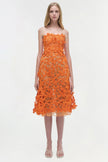 FLEURELLA  APPLIQUE MIDI DRESS