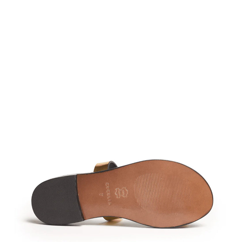 DEMI GOLD METALLIC ON BROWN