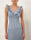 ASTER METALLIC FRILL TOP