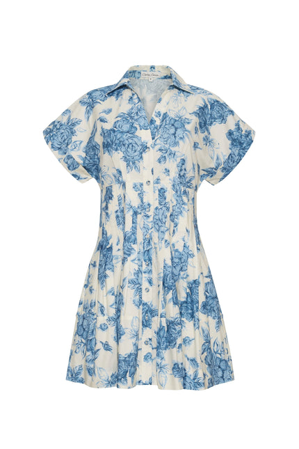 NASH MINI DRESS IN TOSSED FLORAL BLUE