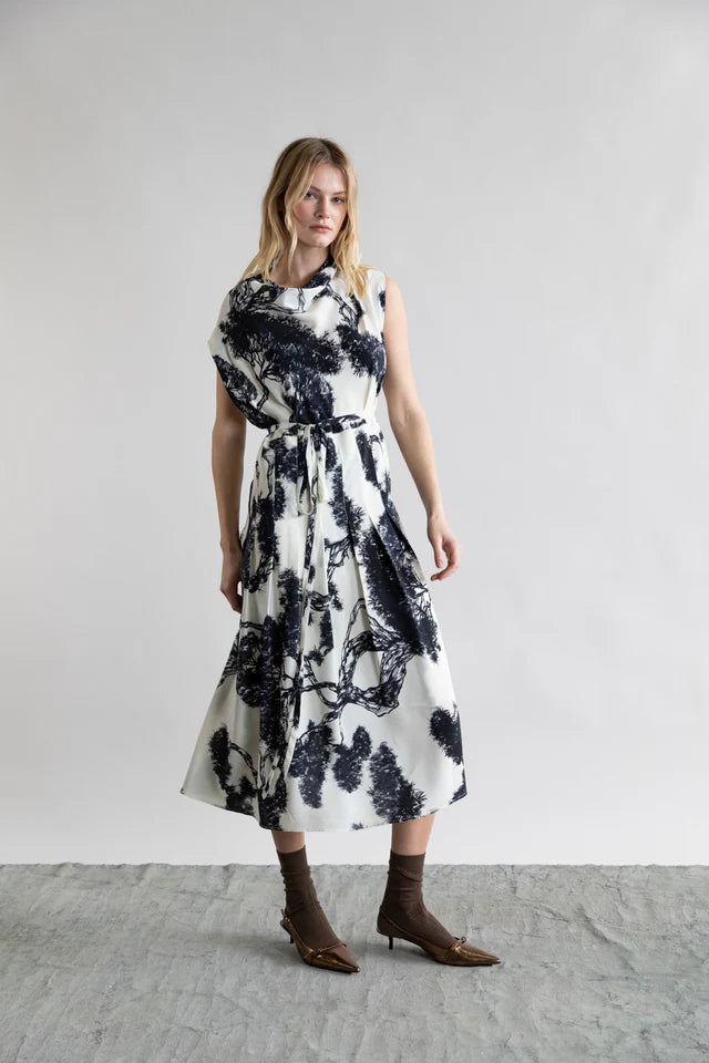 WHISPERING LINES SILK DRESS