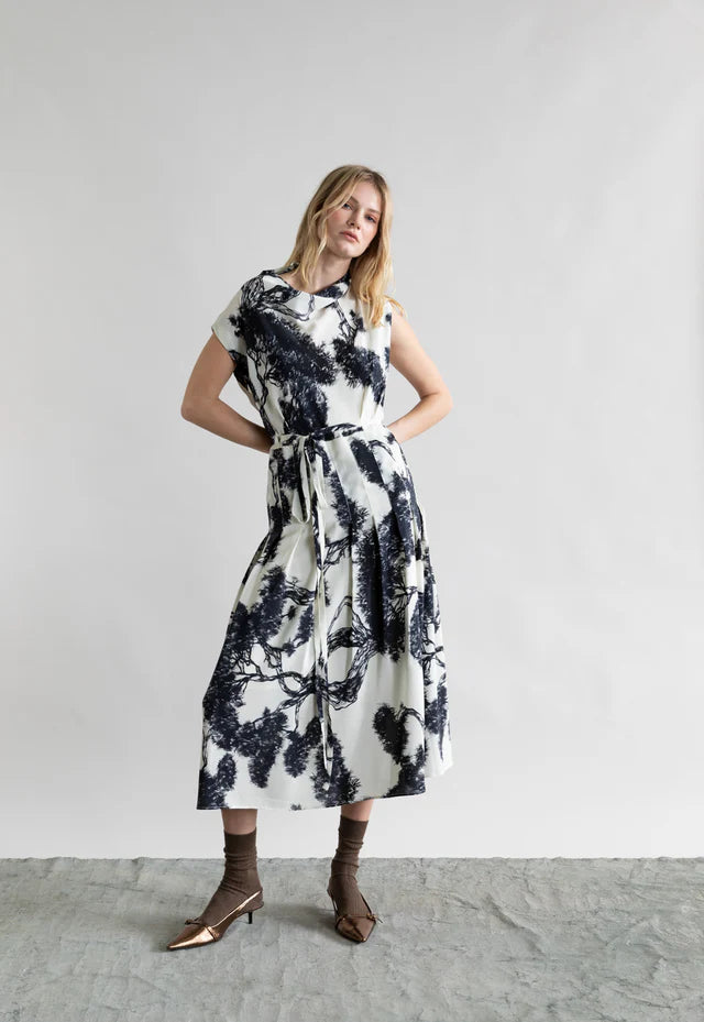 WHISPERING LINES SILK DRESS