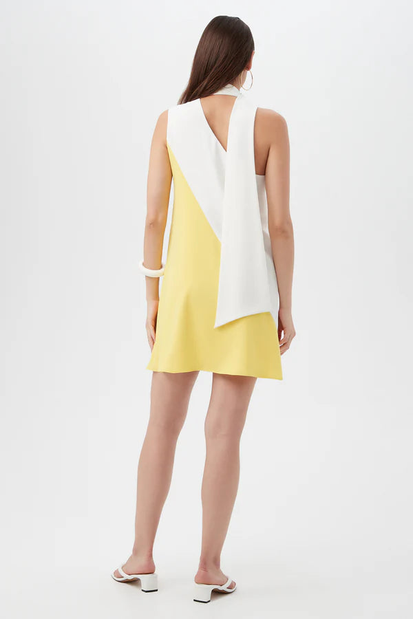 MIELLE SLEEVELESS COLOR BLOCK DRESS