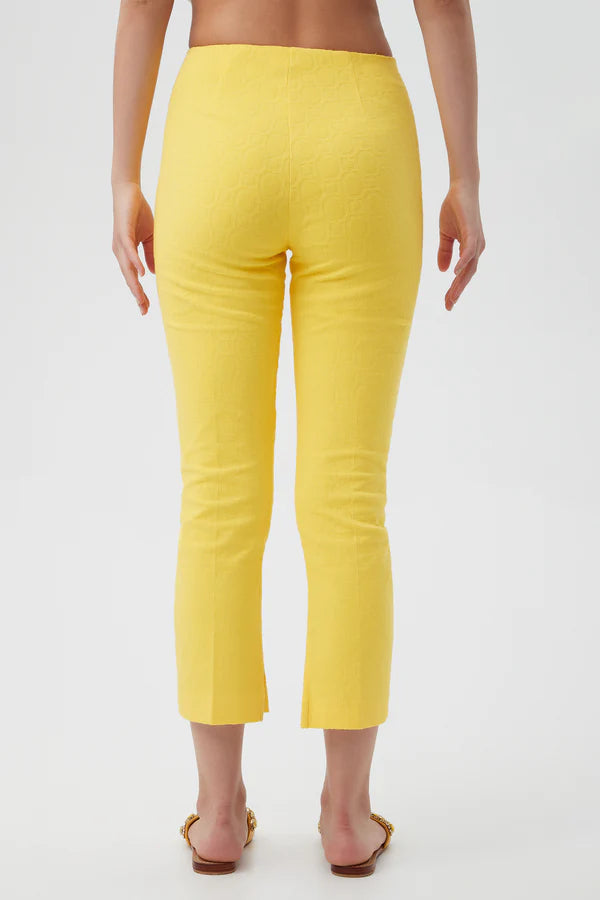 POP SLIM LEG STRETCH PANTS