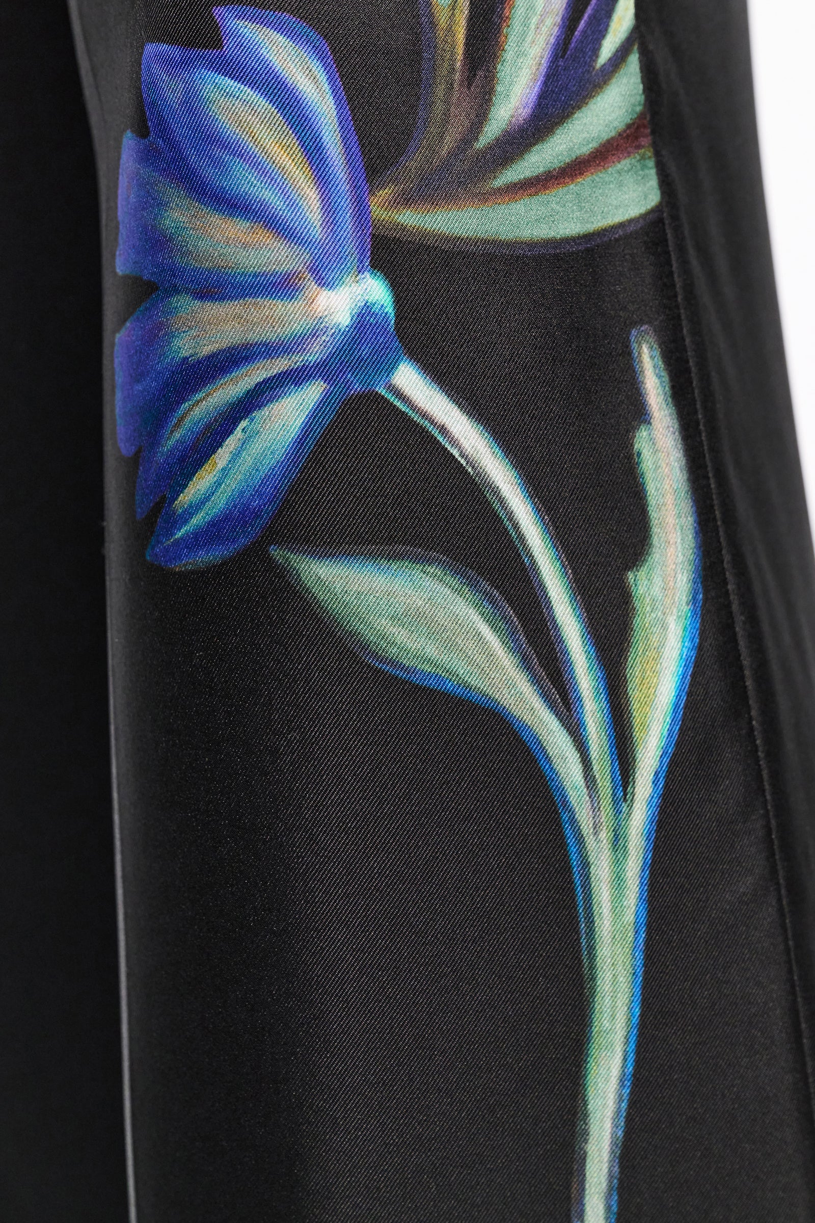 SEDUCTIVE BLOOM PANTS