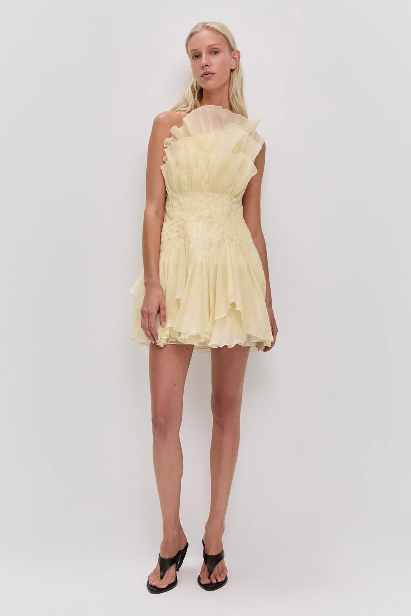 NISHA MINI DRESS
