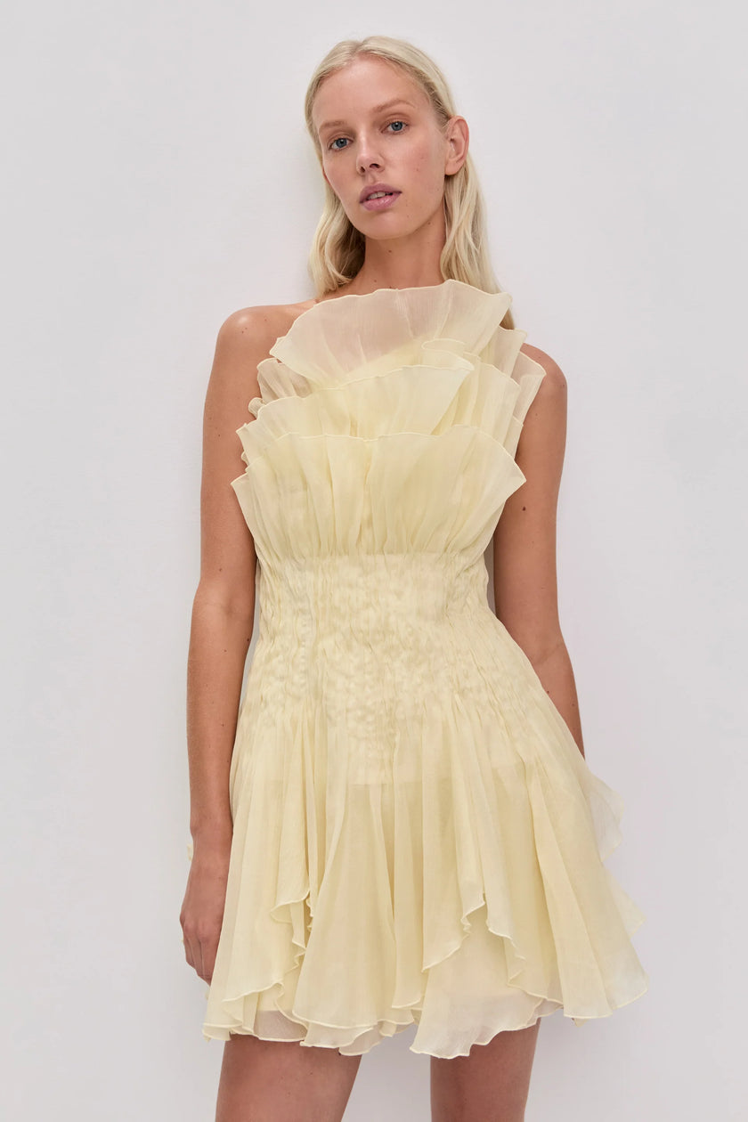 NISHA MINI DRESS