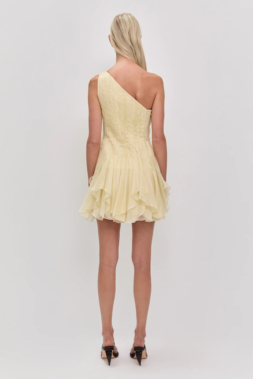 NISHA MINI DRESS