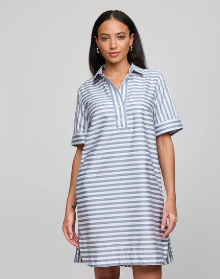AILEEN SHORT SLEEVE STRIPE GINGHAM DRESS