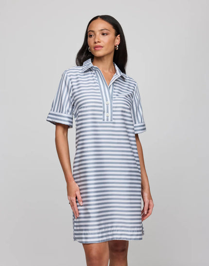 AILEEN SHORT SLEEVE STRIPE GINGHAM DRESS