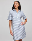 AILEEN SHORT SLEEVE STRIPE GINGHAM DRESS
