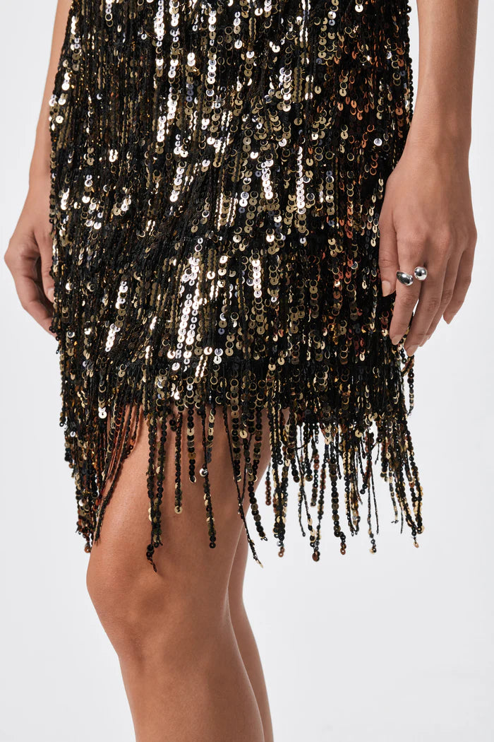 NINI SEQUIN FRINGE DRESS