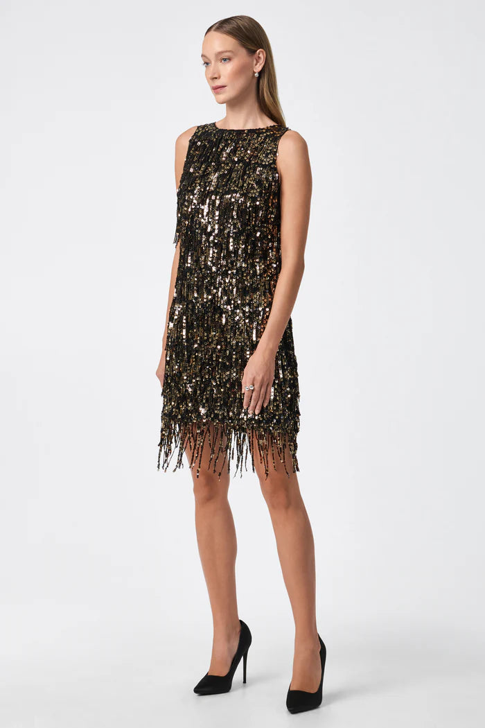 NINI SEQUIN FRINGE DRESS