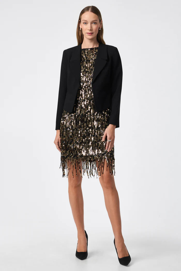 NINI SEQUIN FRINGE DRESS