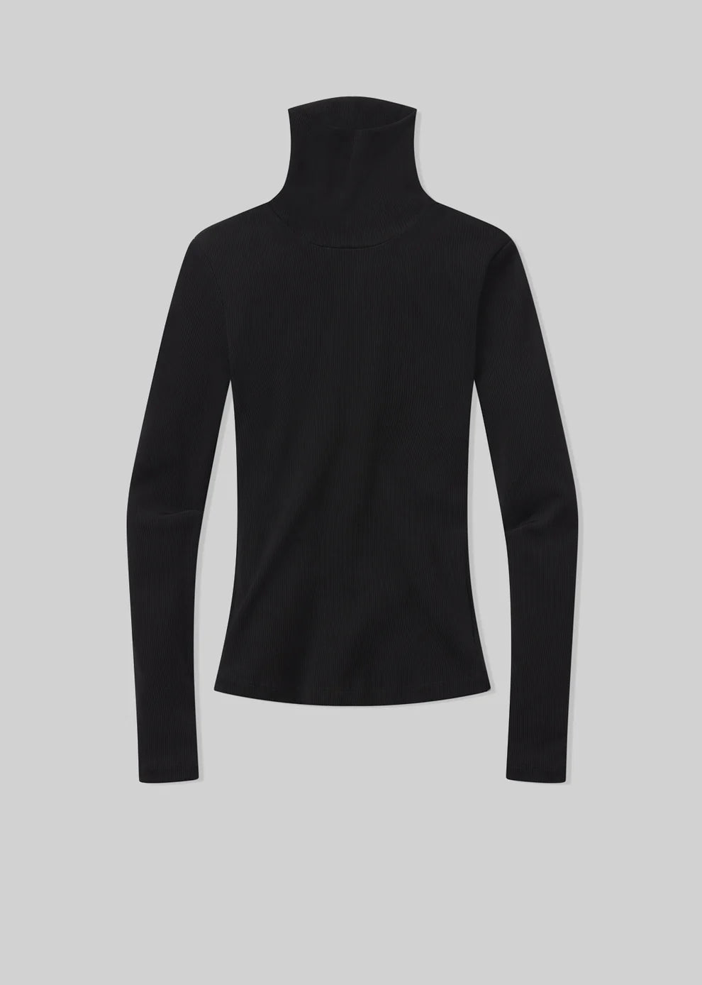 CARADENE TURTLENECK