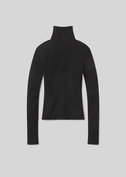 CARADENE RIB TURTLENECK IN BLACK