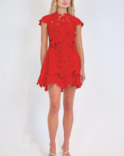 HOLLOWAY EMBROIDERED MINI DRESS