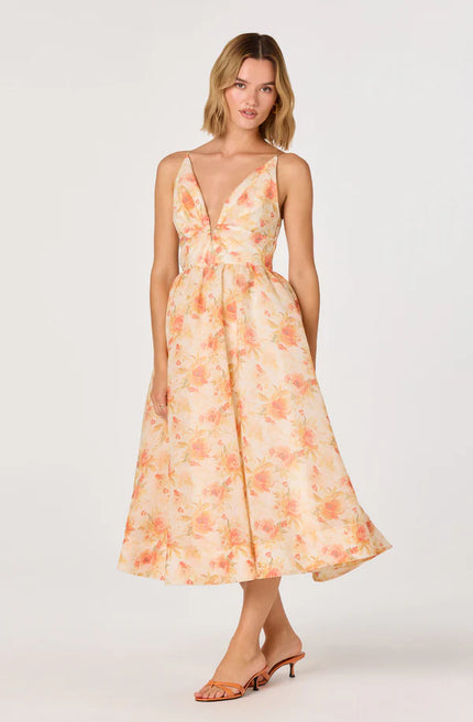 JANNA DRESS