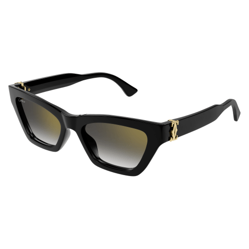 DOUBLE C ACETATE SUNGLASSES