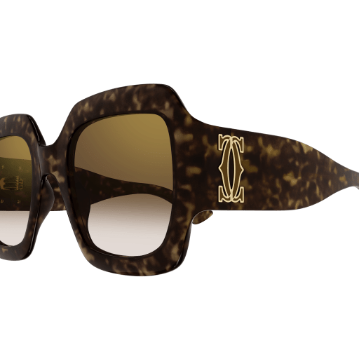 DOUBLE C ACETATE SUNGLASSES