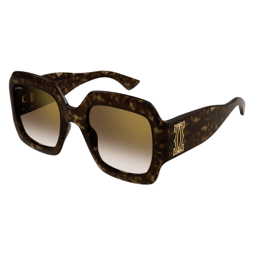 DOUBLE C ACETATE SUNGLASSES – Julian Gold