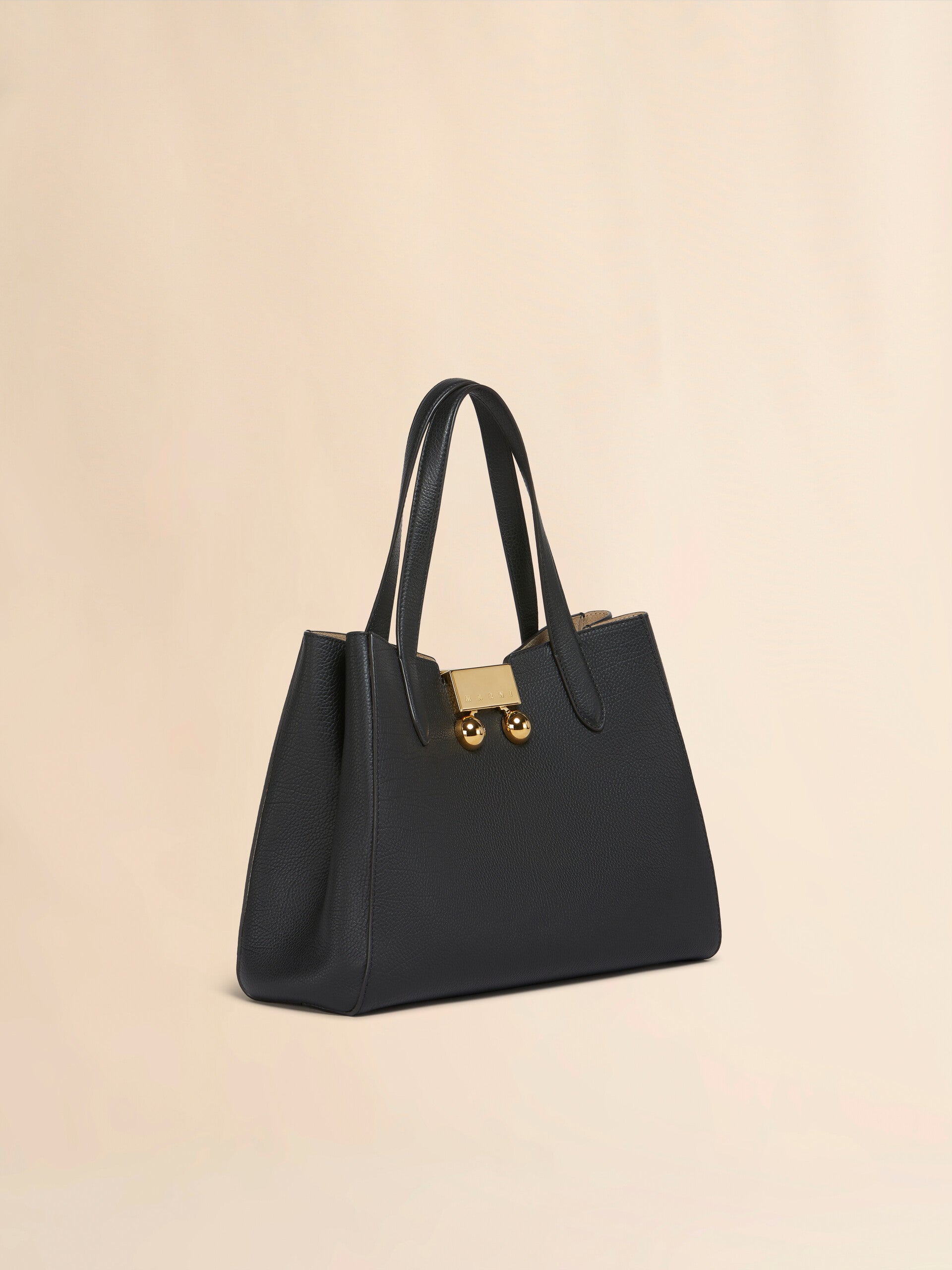 TRUNKAROO TOTE HANDBAG