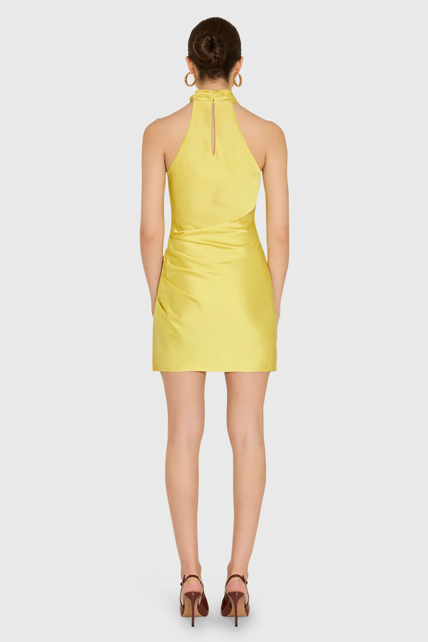 CHANTEL DRESS IN SUNSHINE