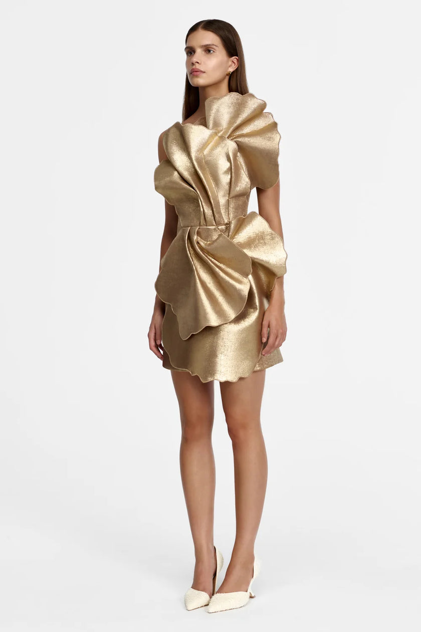 OAKENZALE MINI DRESS
