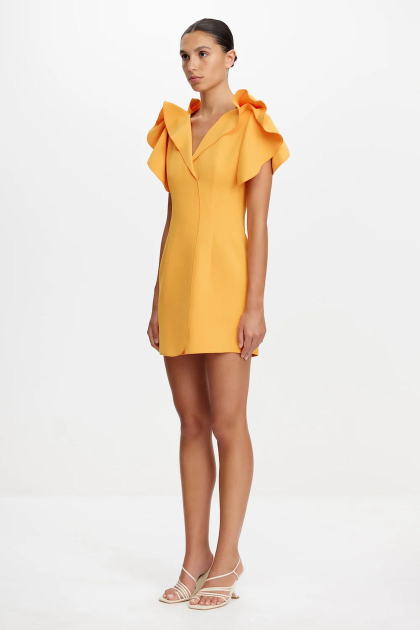 NORMANHILL MINI DRESS