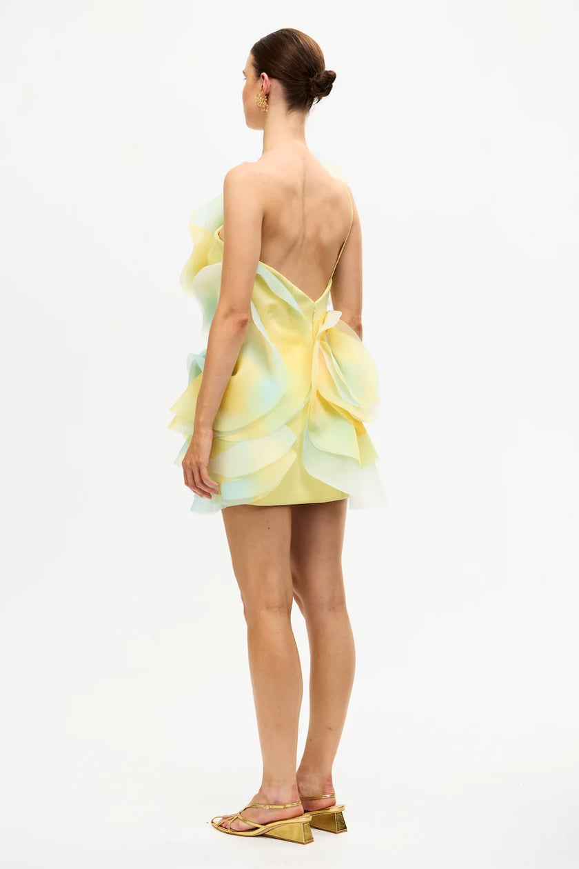 COTWALL MINI DRESS
