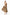ELARA DROP WAIST MIDI DRESS