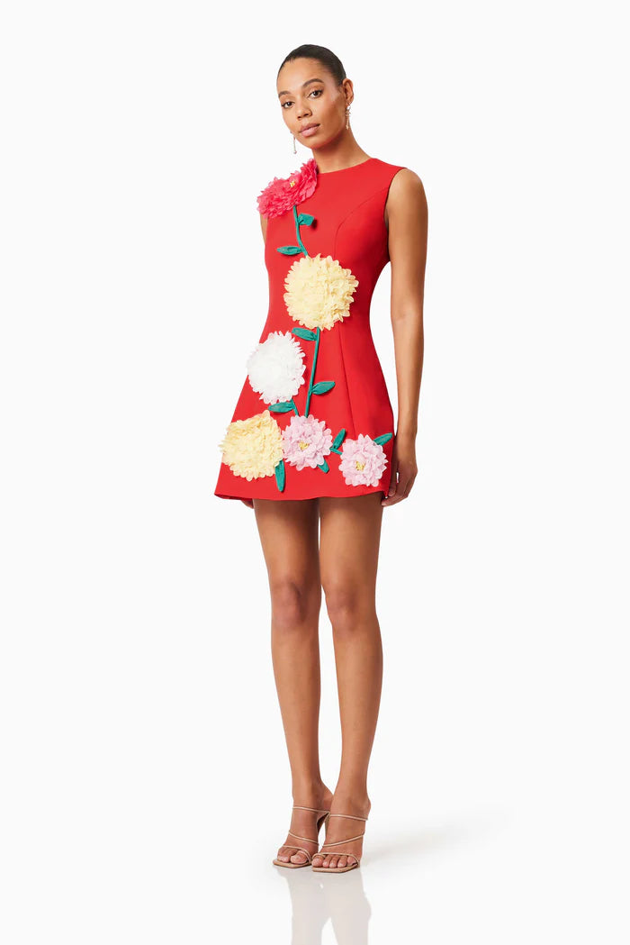 BUTTERCUP EMBROIDERED MINI DRESS