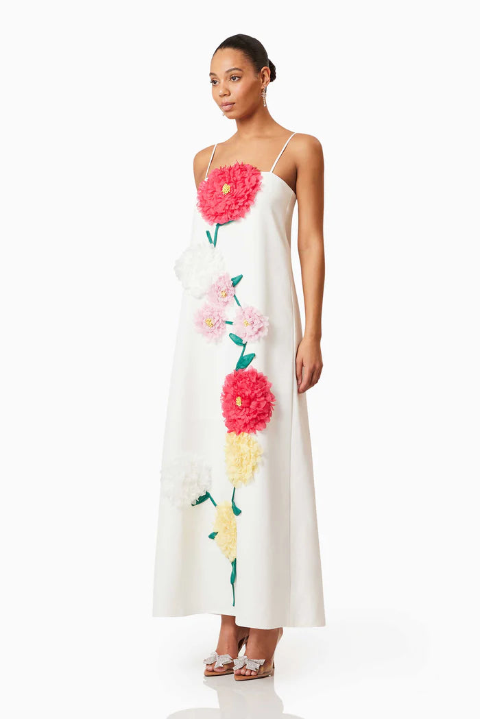 BUTTERCUP EMBROIDERED MAXI DRESS