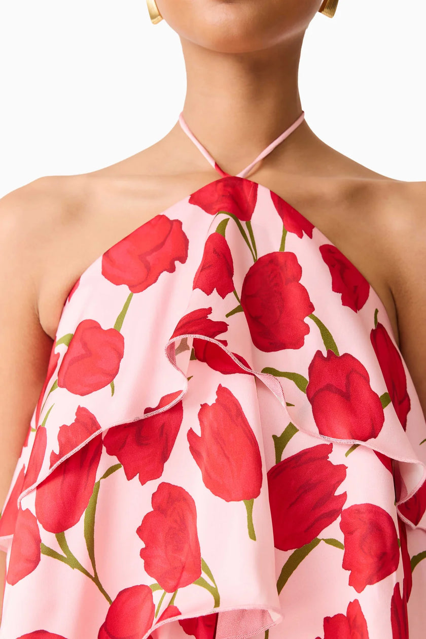 MELIA HALTER MINI DRESS IN RED AND PINK FLORAL