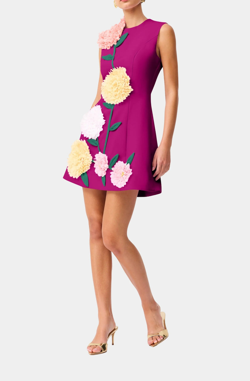 BUTTERCUP EMDBROIDERED MINI DRESS