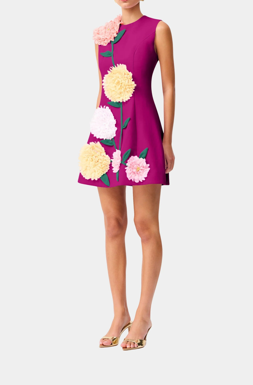 BUTTERCUP EMDBROIDERED MINI DRESS