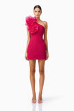 VERDESSA ONE MINI DRESS IN RASPBERRY
