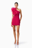 VERDESSA ONE MINI DRESS IN RASPBERRY