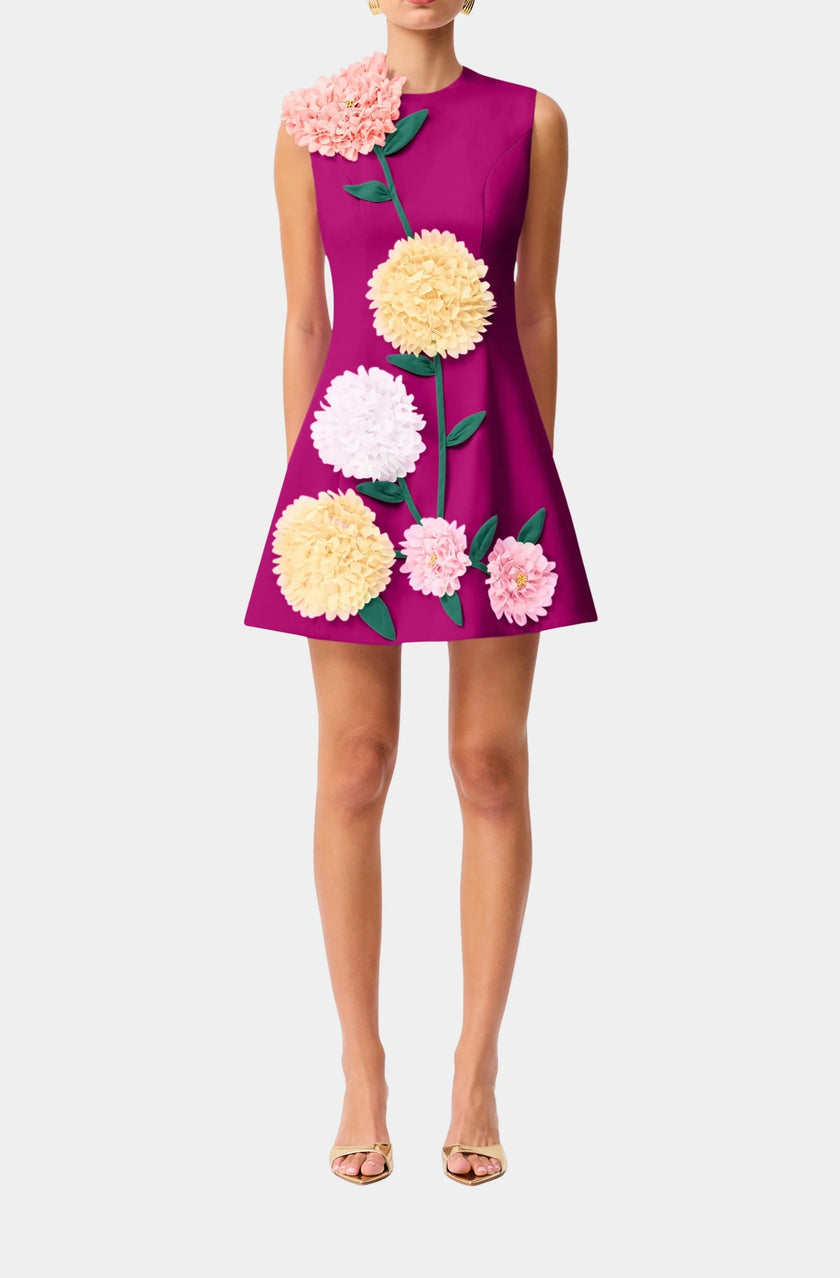 BUTTERCUP EMDBROIDERED MINI DRESS