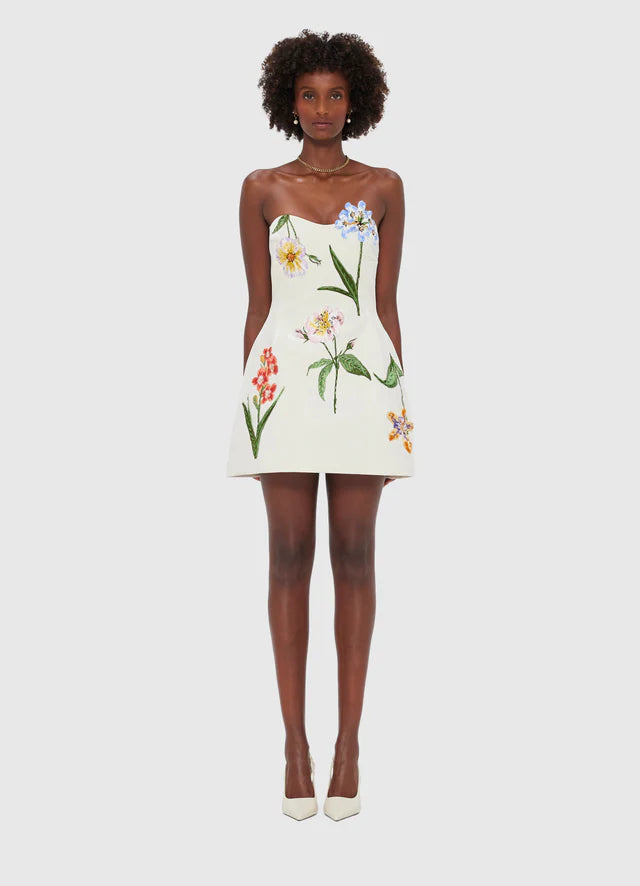 ROSARIO VELVET MINI DRESS