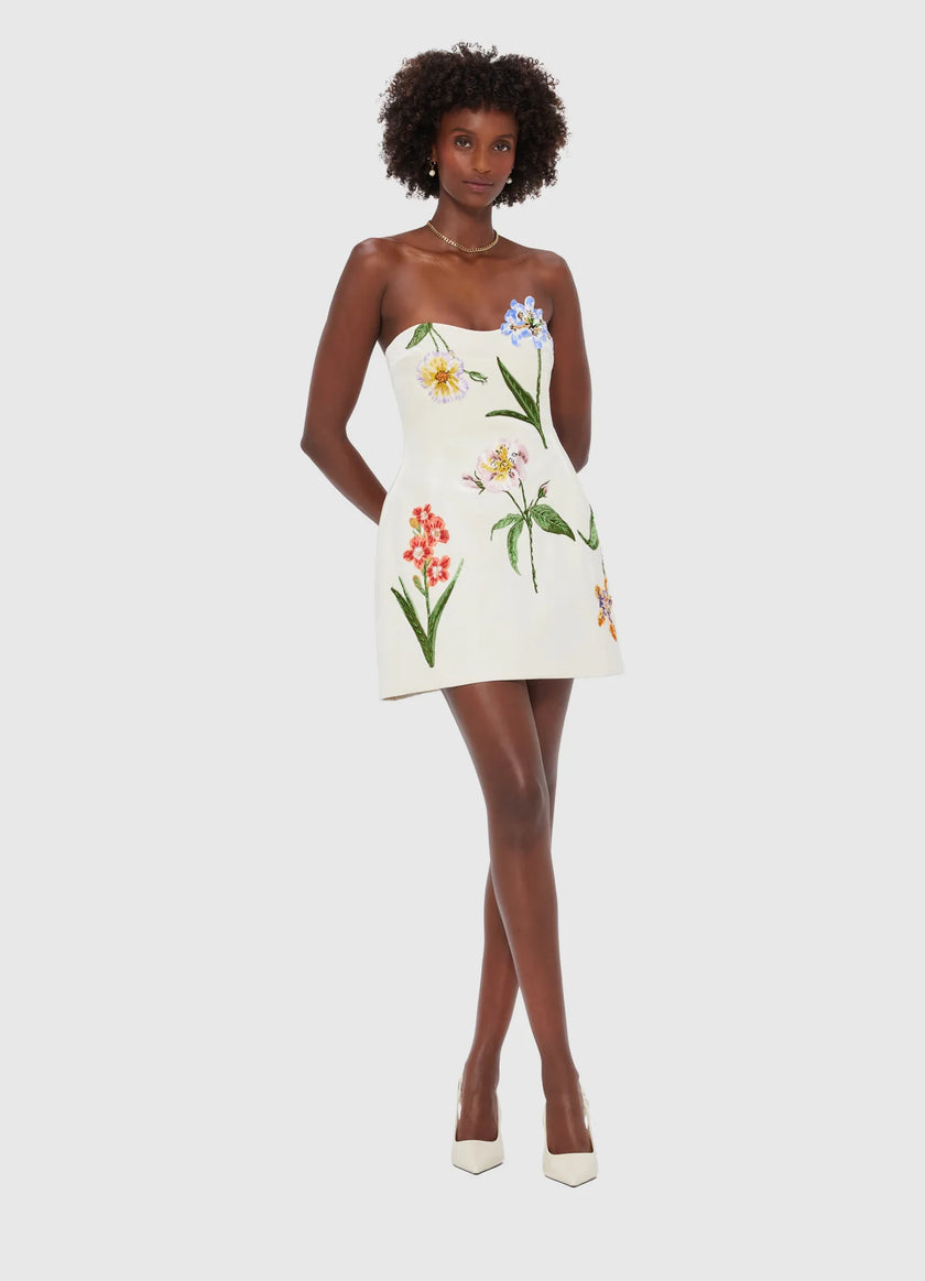 ROSARIO VELVET MINI DRESS