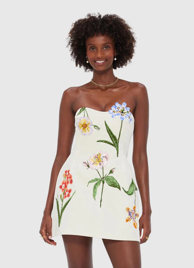 ROSARIO VELVET MINI DRESS