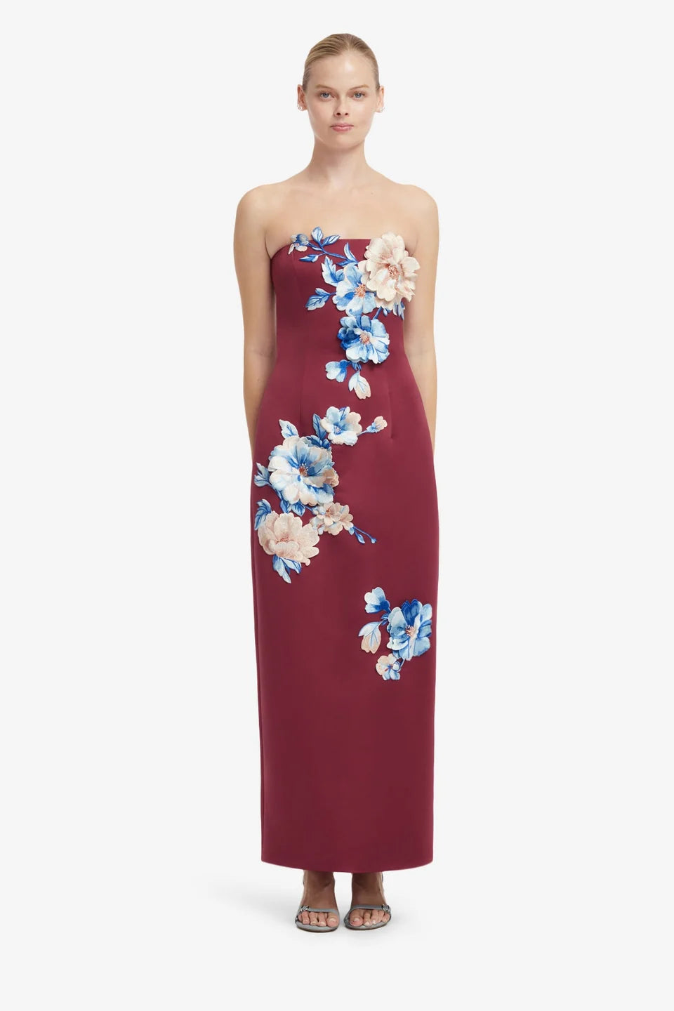 RAYNA EMBROIDERED MAXI DRESS IN COSMOS PRINT