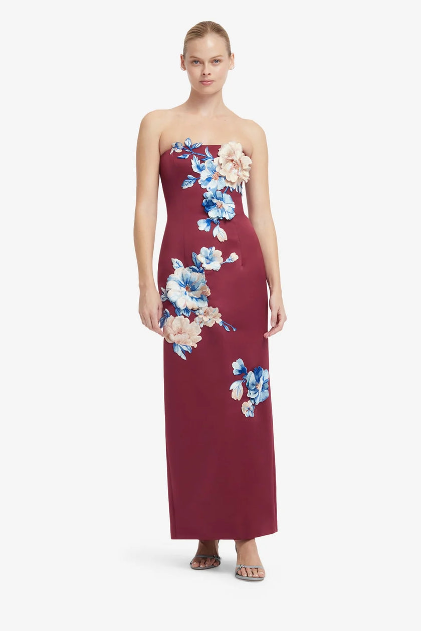 RAYNA EMBROIDERED MAXI DRESS IN COSMOS PRINT