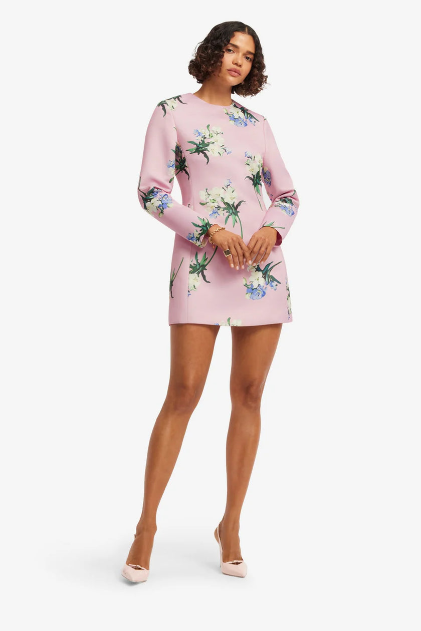 ALIZA LONG SLEEVE MINI DRESS IN BOUQUET PRINT IN PASTEL PINK