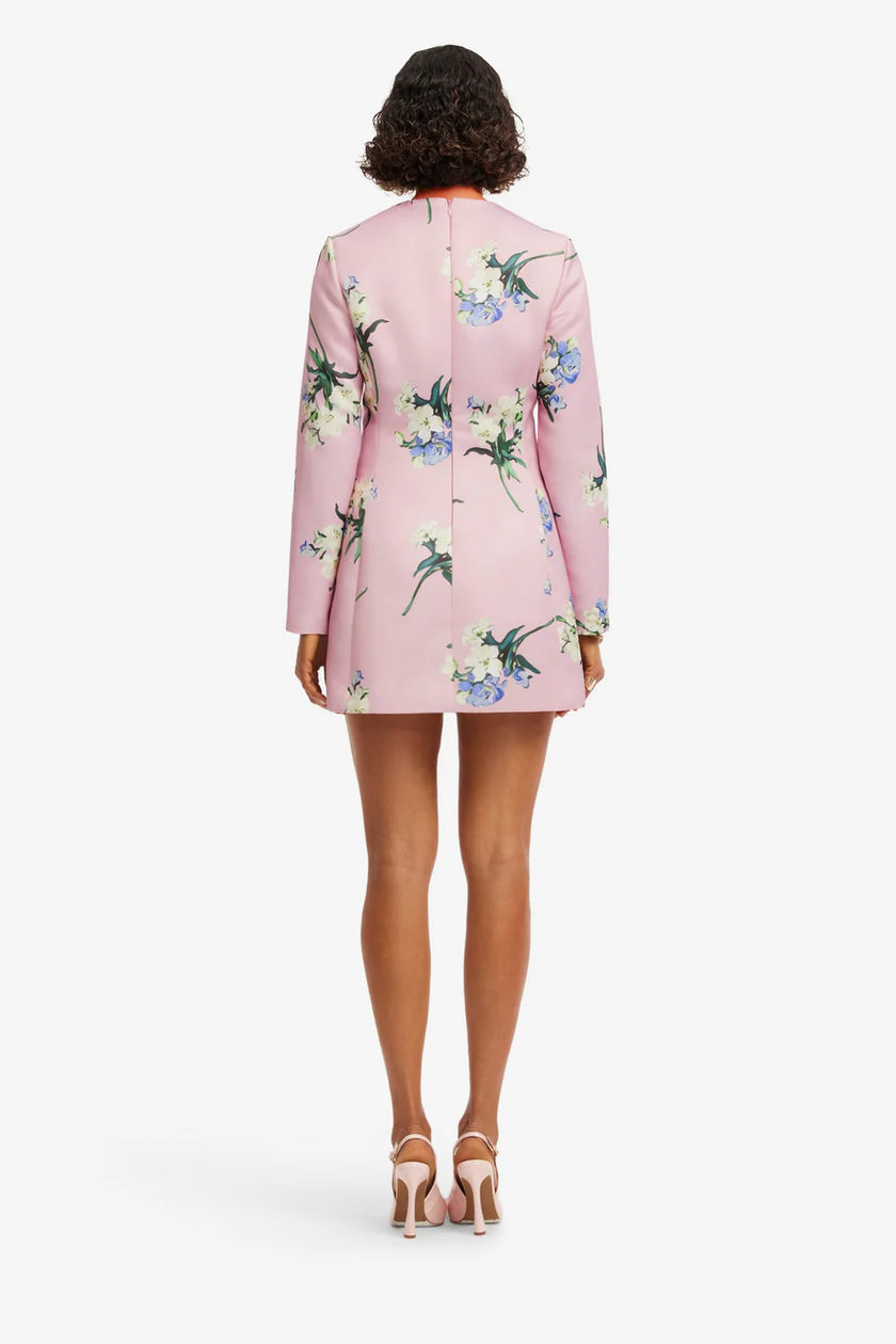 ALIZA LONG SLEEVE MINI DRESS IN BOUQUET PRINT IN PASTEL PINK