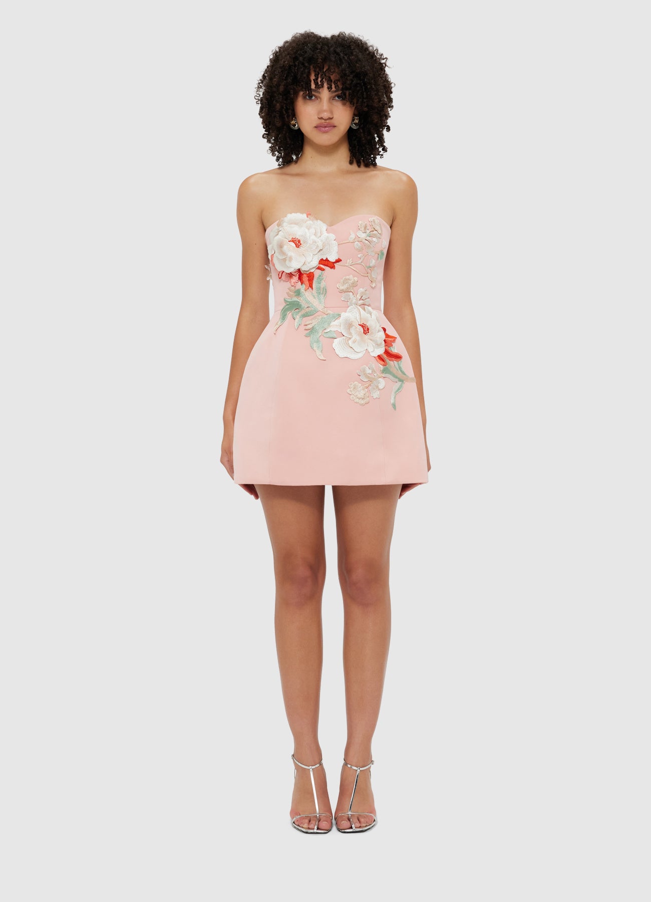 ROSARIO APPLIQUE BUSTIER MINI DRESS