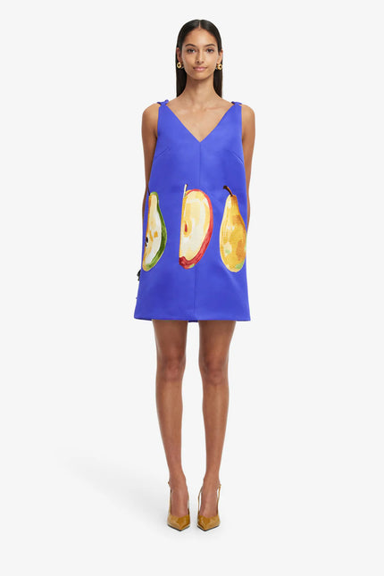 TAYLOR EMBROIDERED MINI DRESS